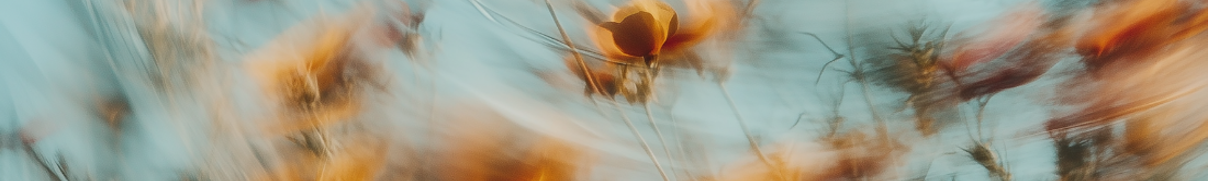 Uklare gule blomster