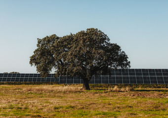 Fjell og fjord. (Foto: Lars Petter Pettersen)