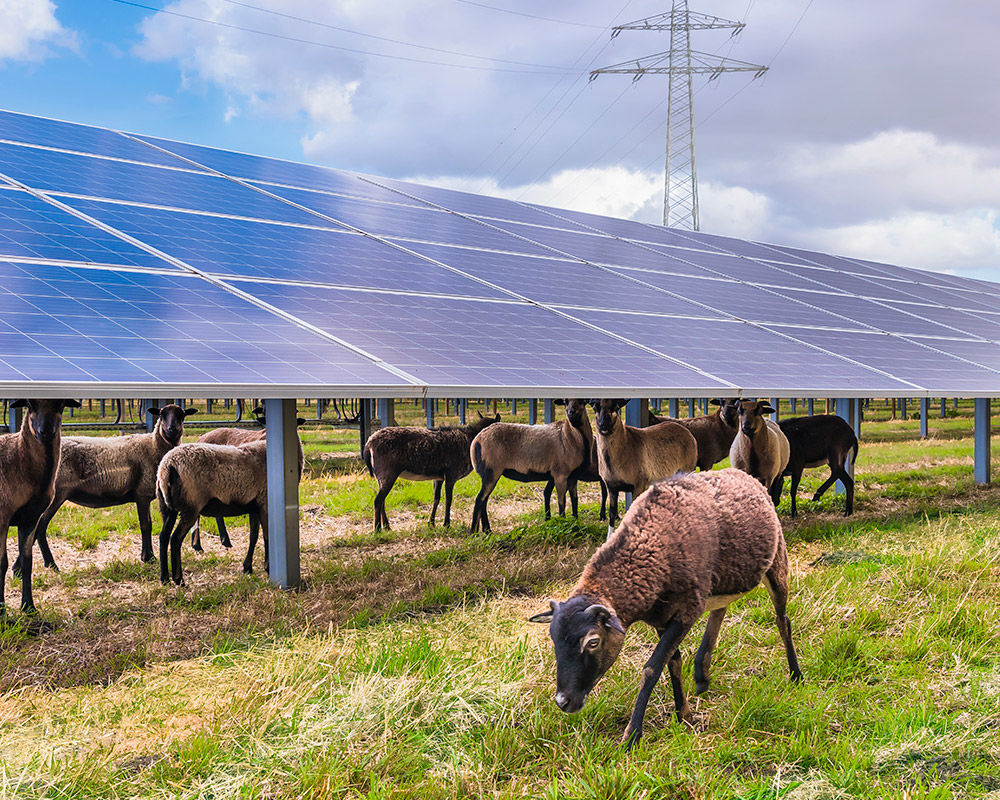 D&ouml;rverden solenergipark