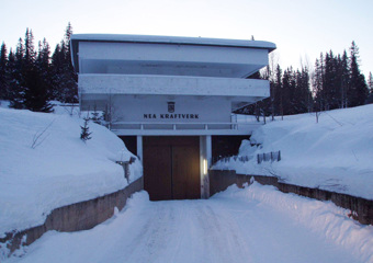 Nea kraftverk