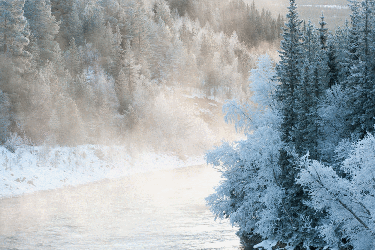 Kald tåke over elv