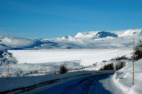 Vinterlandskap