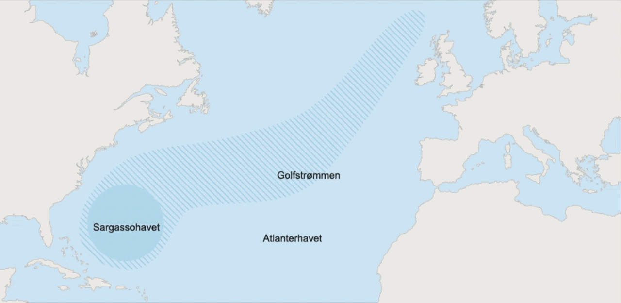 &Aring;lens vandring