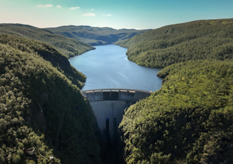 Dam i grønt landskap