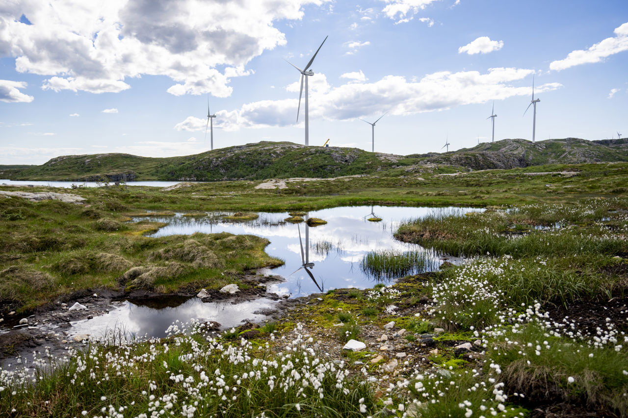 Vindturbiner på fjellet