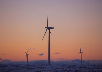 Vindturbiner i solnedgang