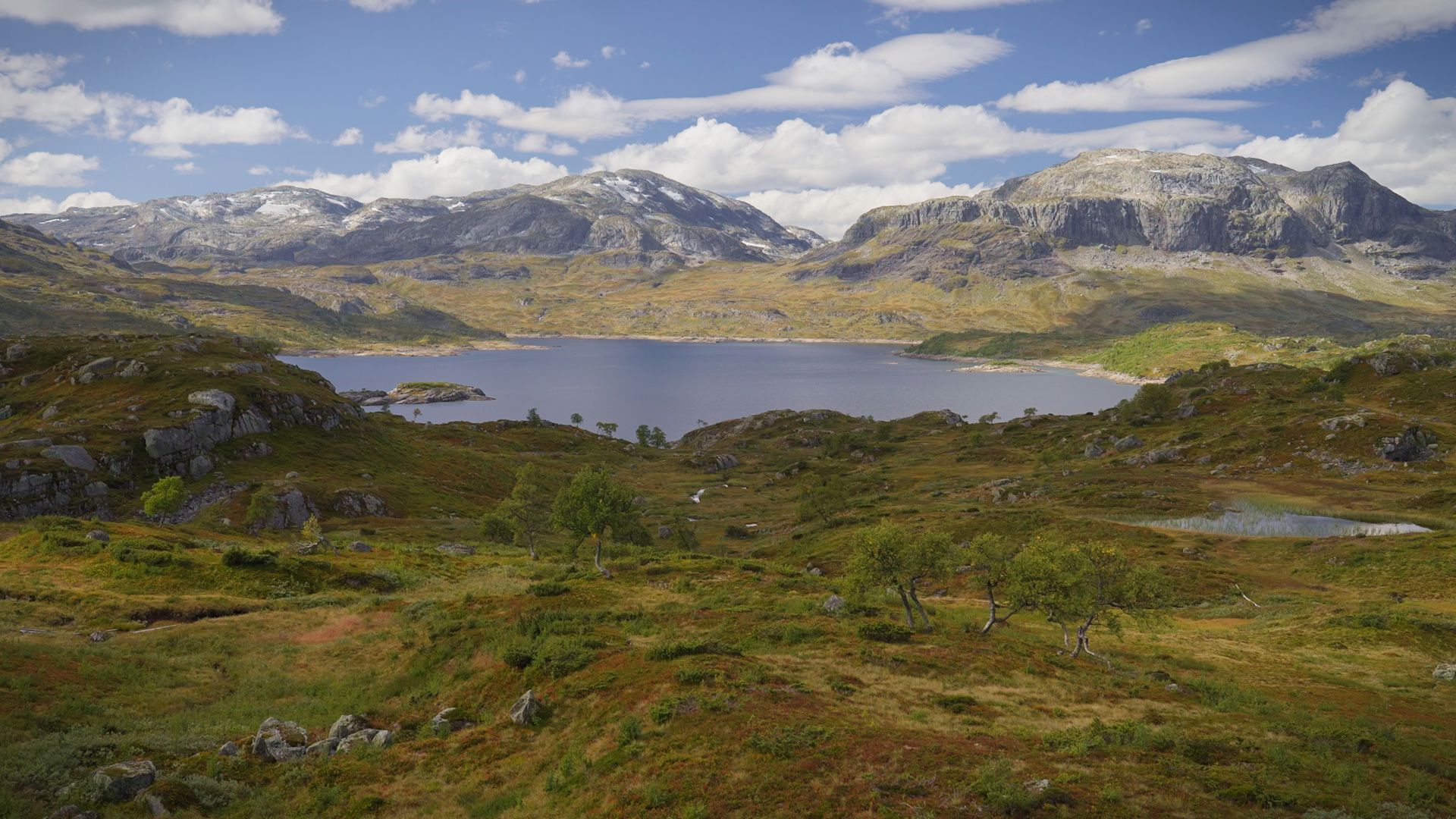 Fjellandskap på sommeren