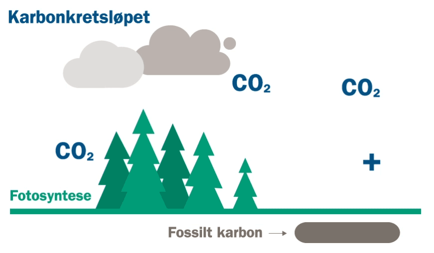 Illustrasjon av karbonkretsløpet